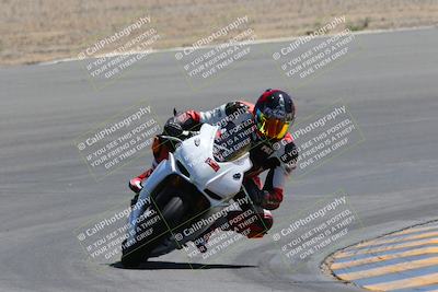 media/Apr-09-2023-SoCal Trackdays (Sun) [[333f347954]]/Turn 10 (115pm)/